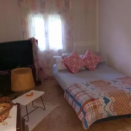 Family House *